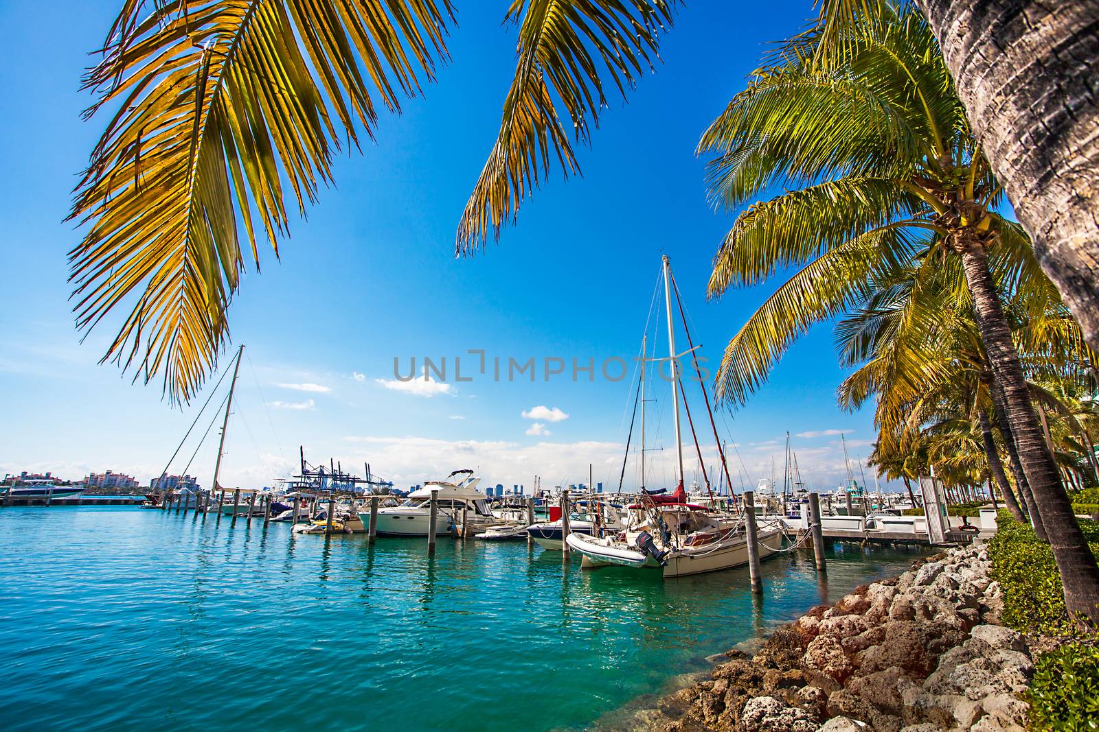 Yacht harbor in Miami Florida USA by Makeral