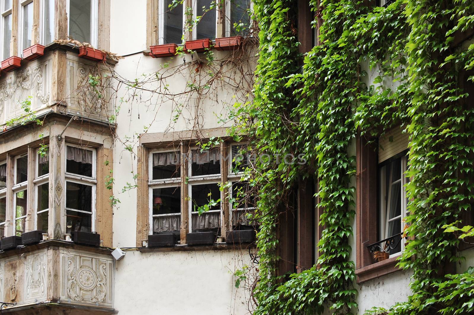 The facades of old buildings in Europe