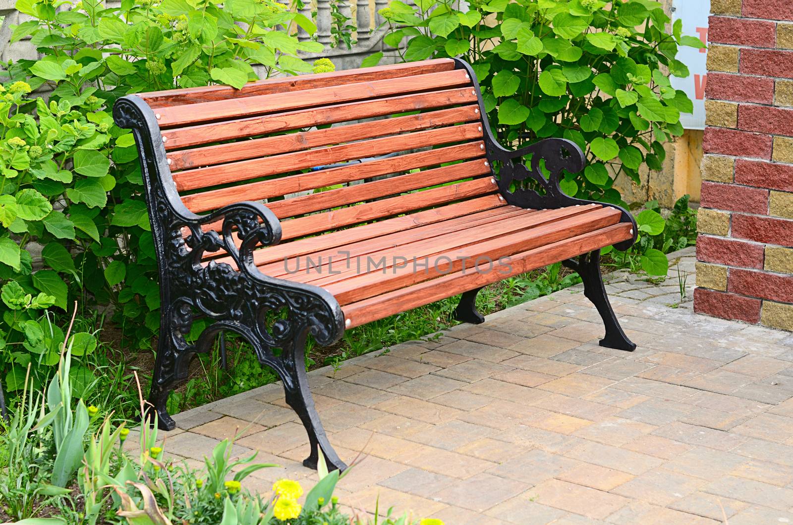 The beautiful bench in the summer park