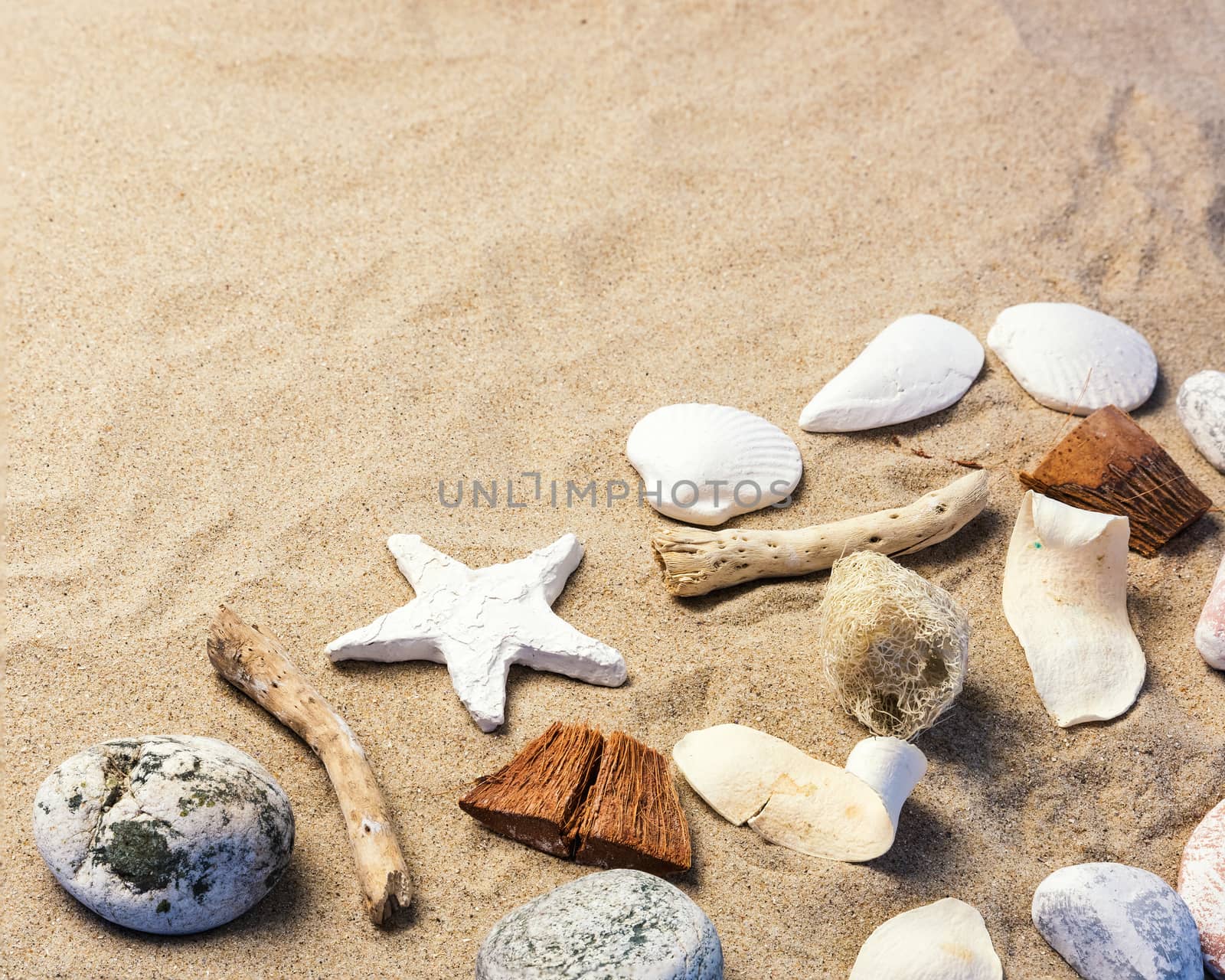 Composition of Seashells on sand with copy space.