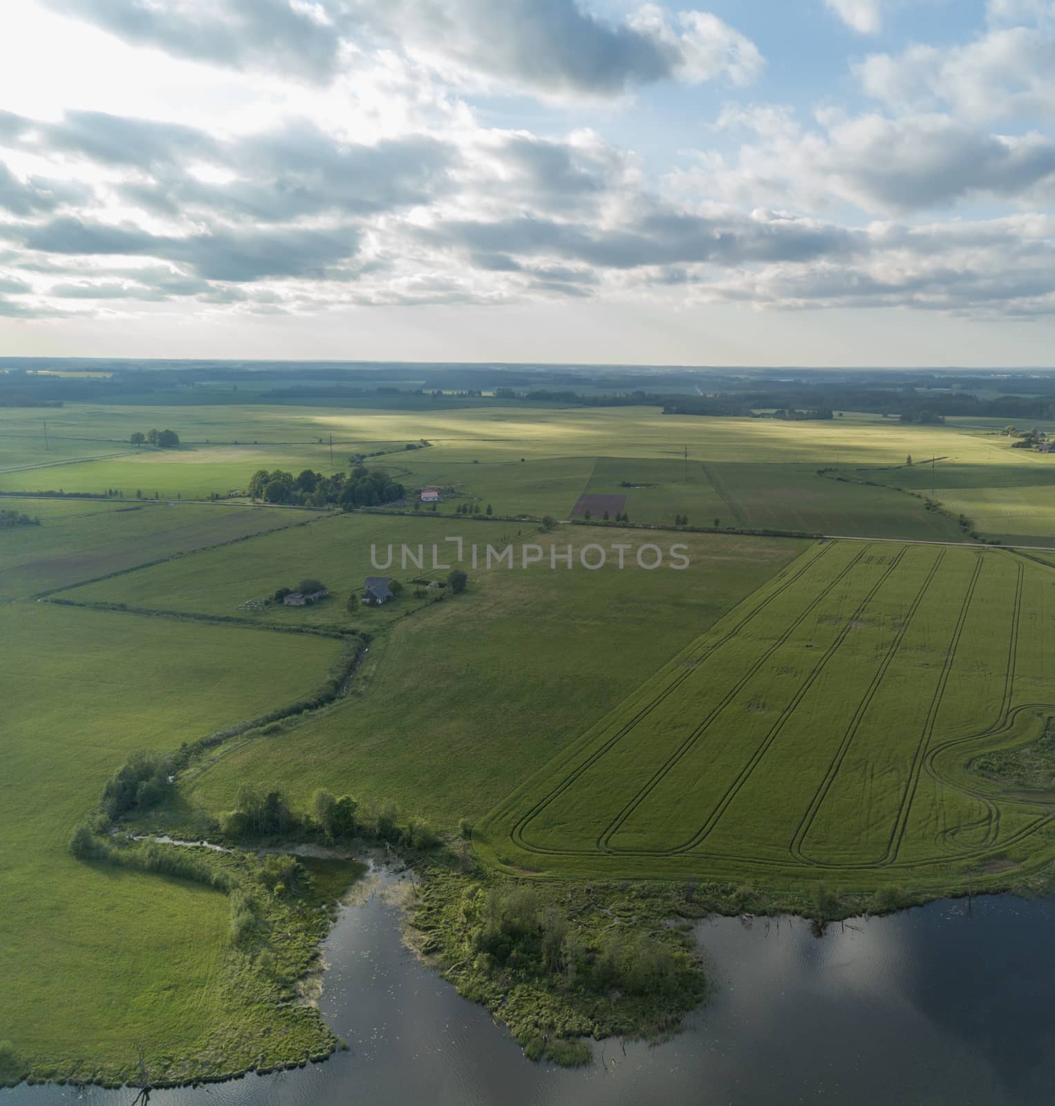 Rapeseed field yellow green Aerial view of countryside, drone top view Latvia