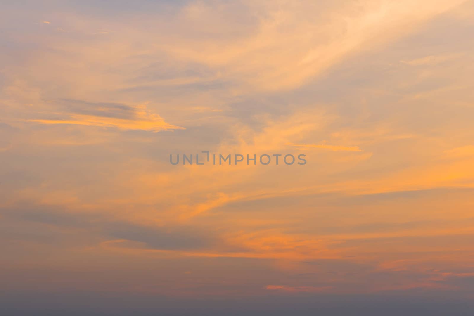 golden sky at the sunrise for background.
