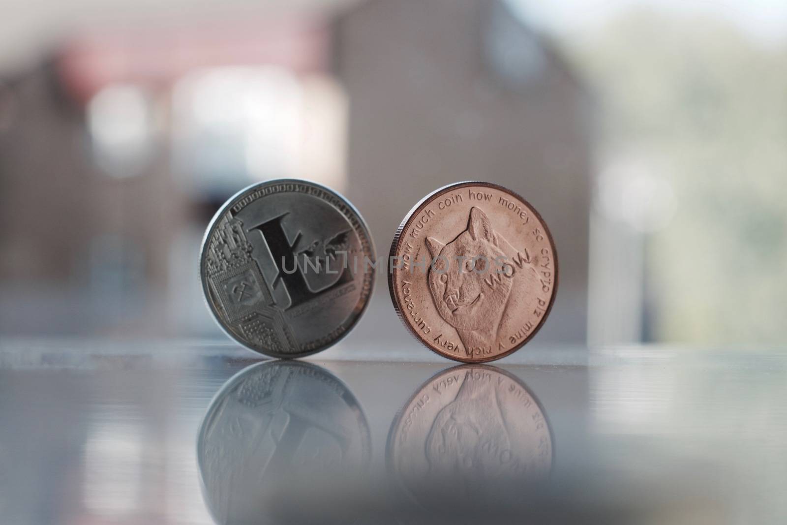Digital currency physical silver litecoin and brass dogecoin money near the window.