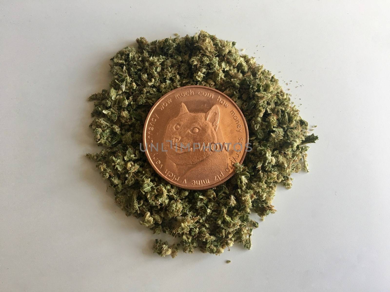 Digital currency physical brass doge coin on the weed.