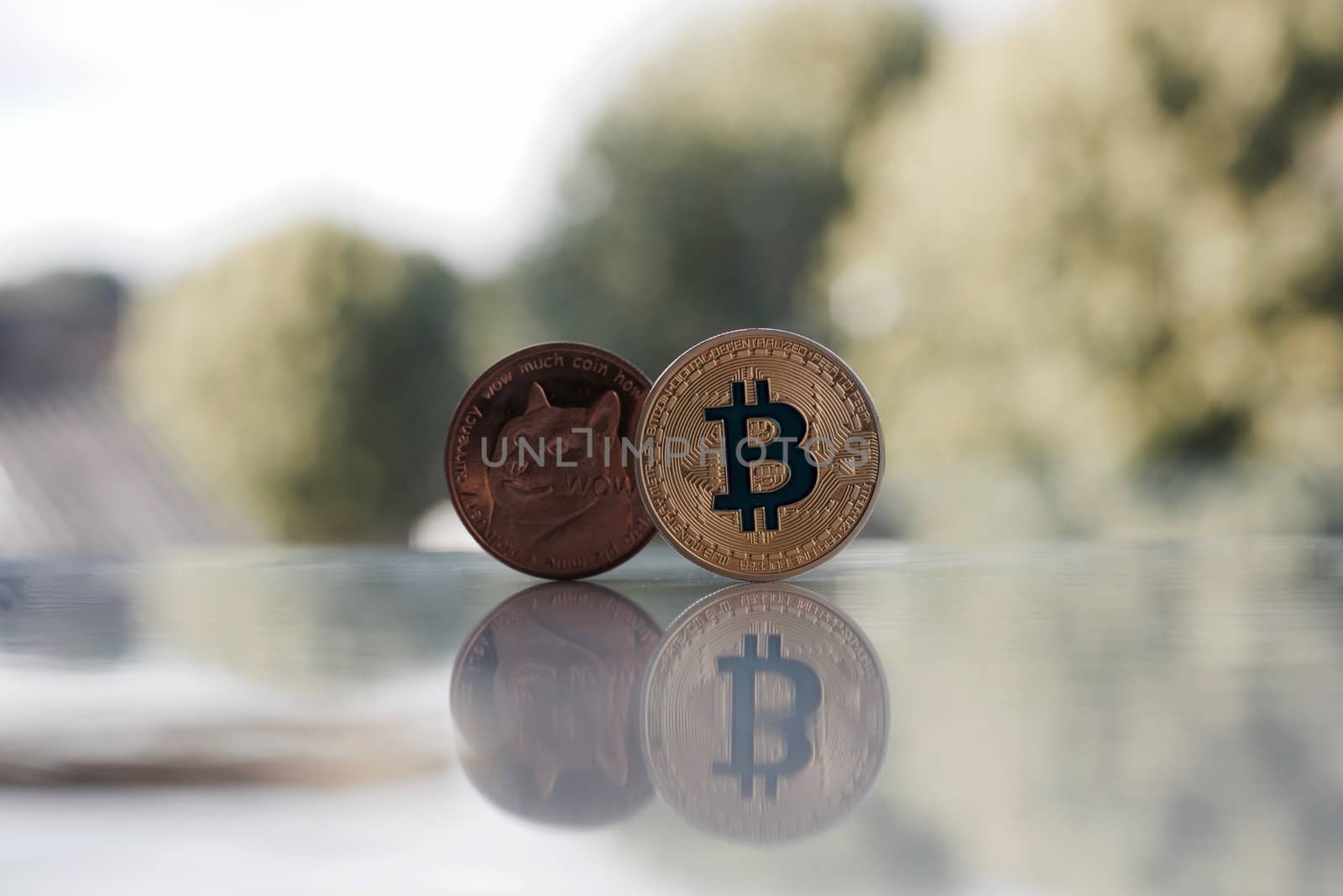 Digital currency physical gold bitcoin coin and brass dogecoin coin.