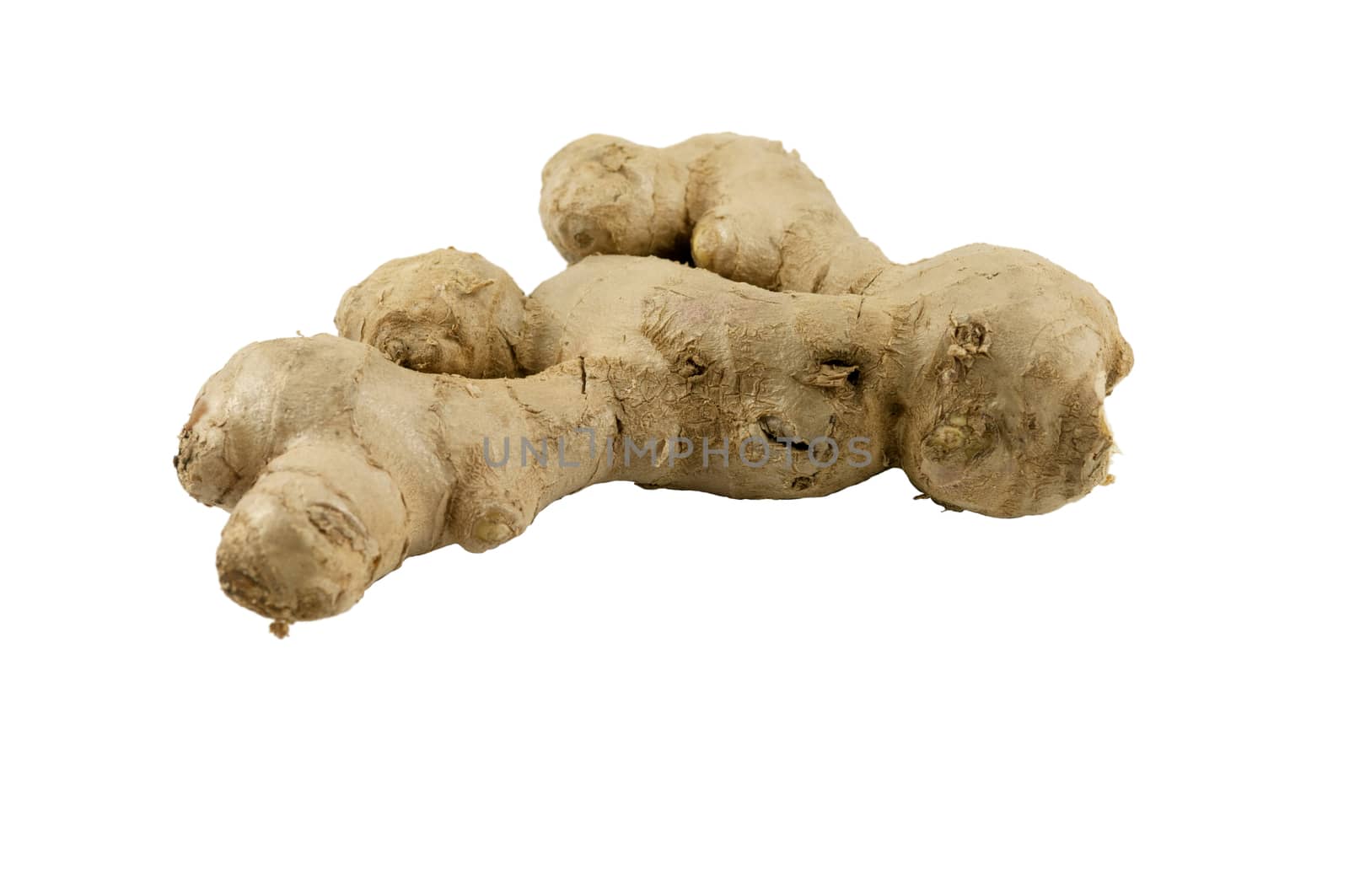 Ginger root in white background