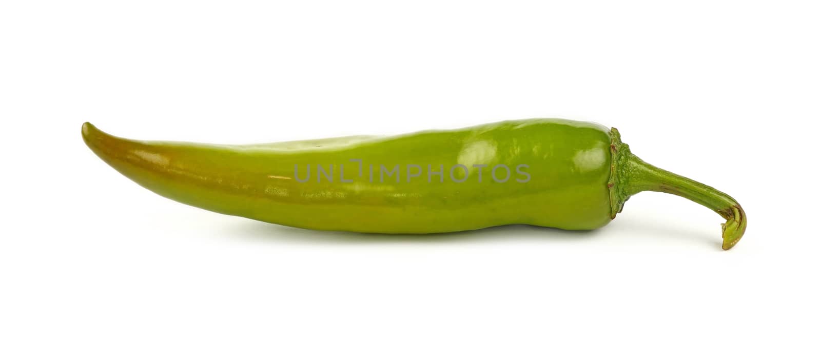 One fresh green jalapeno chili pepper isolated on white background, close up, side low angle view