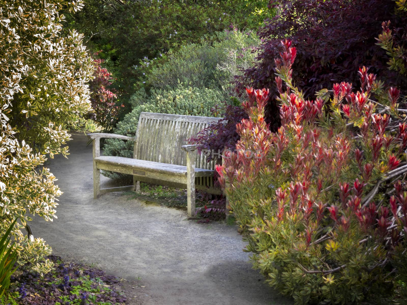 Secluded Bench 2 by mmarfell