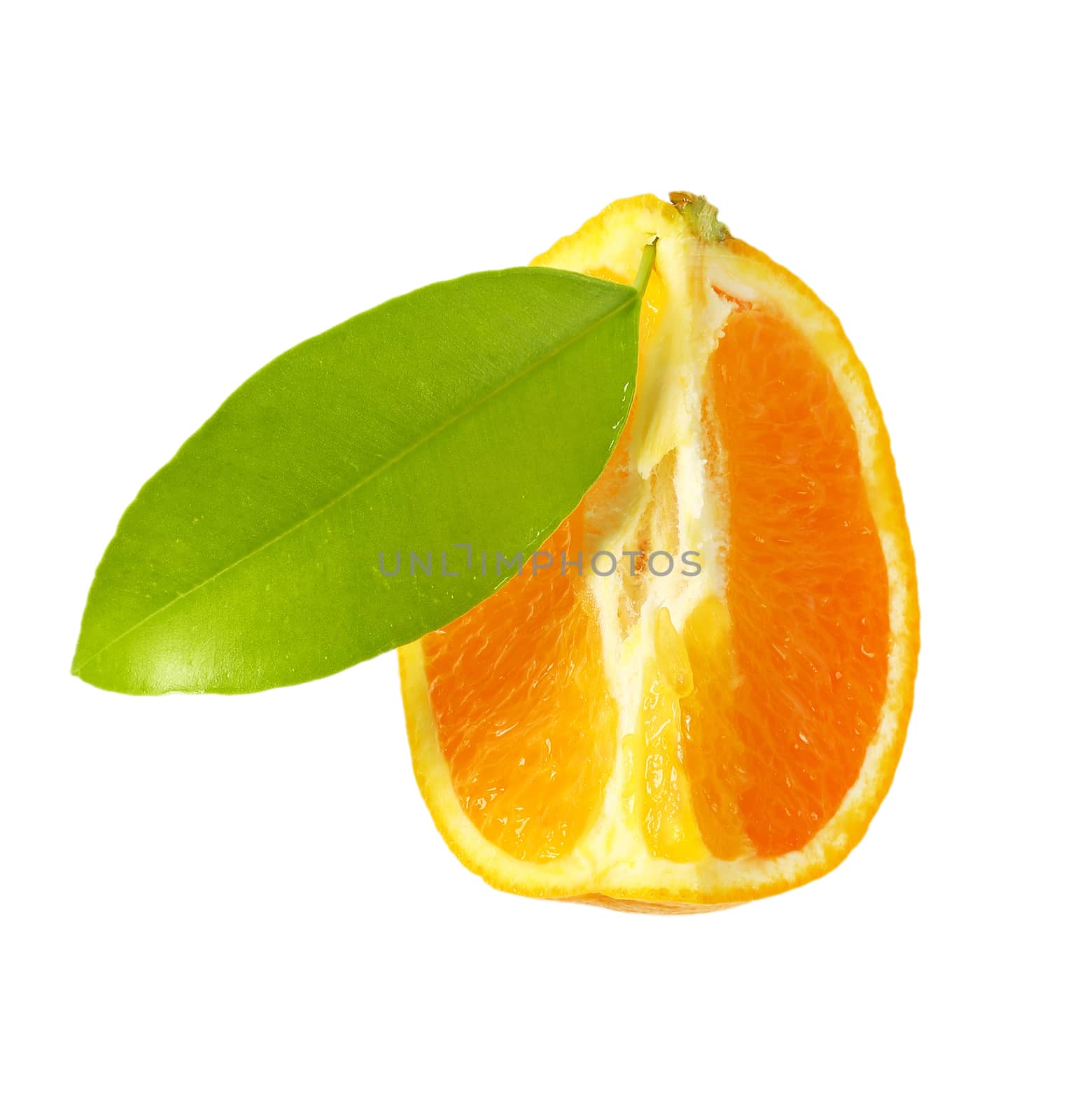 Fresh orange quarter by Digifoodstock