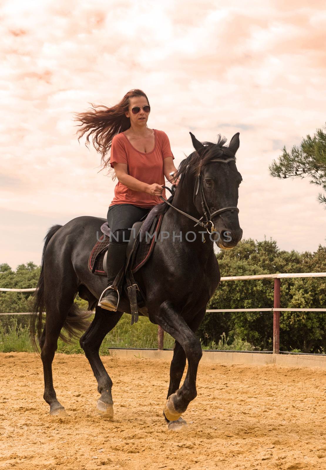 riding girl and her stallion in a training of dressage