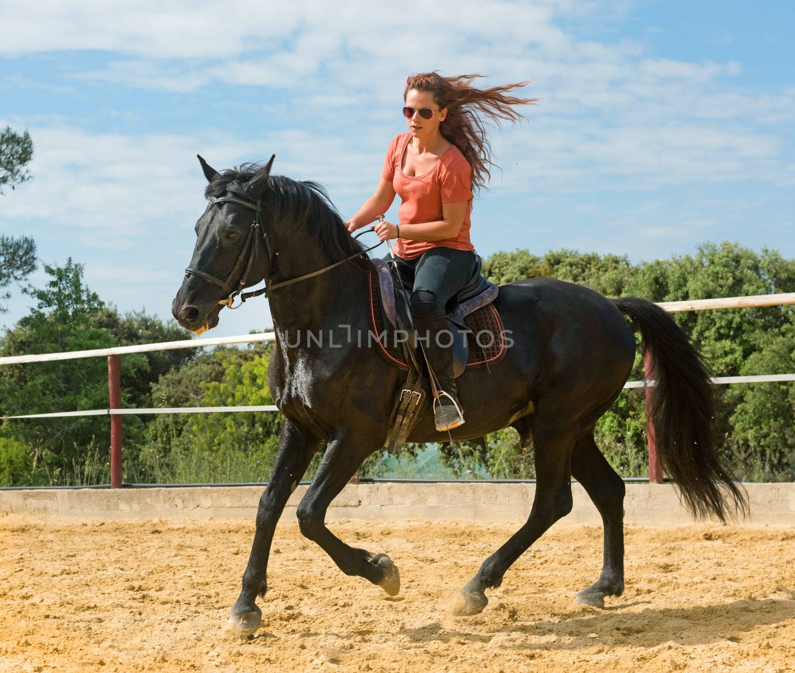 riding girl on stallion in a training of dressage