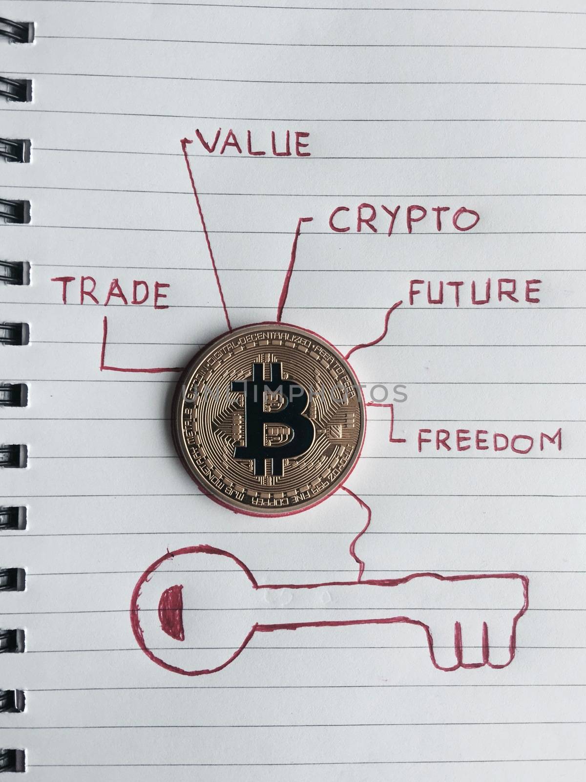 Cryptocurrency physical gold bitcoin coin in notebook.