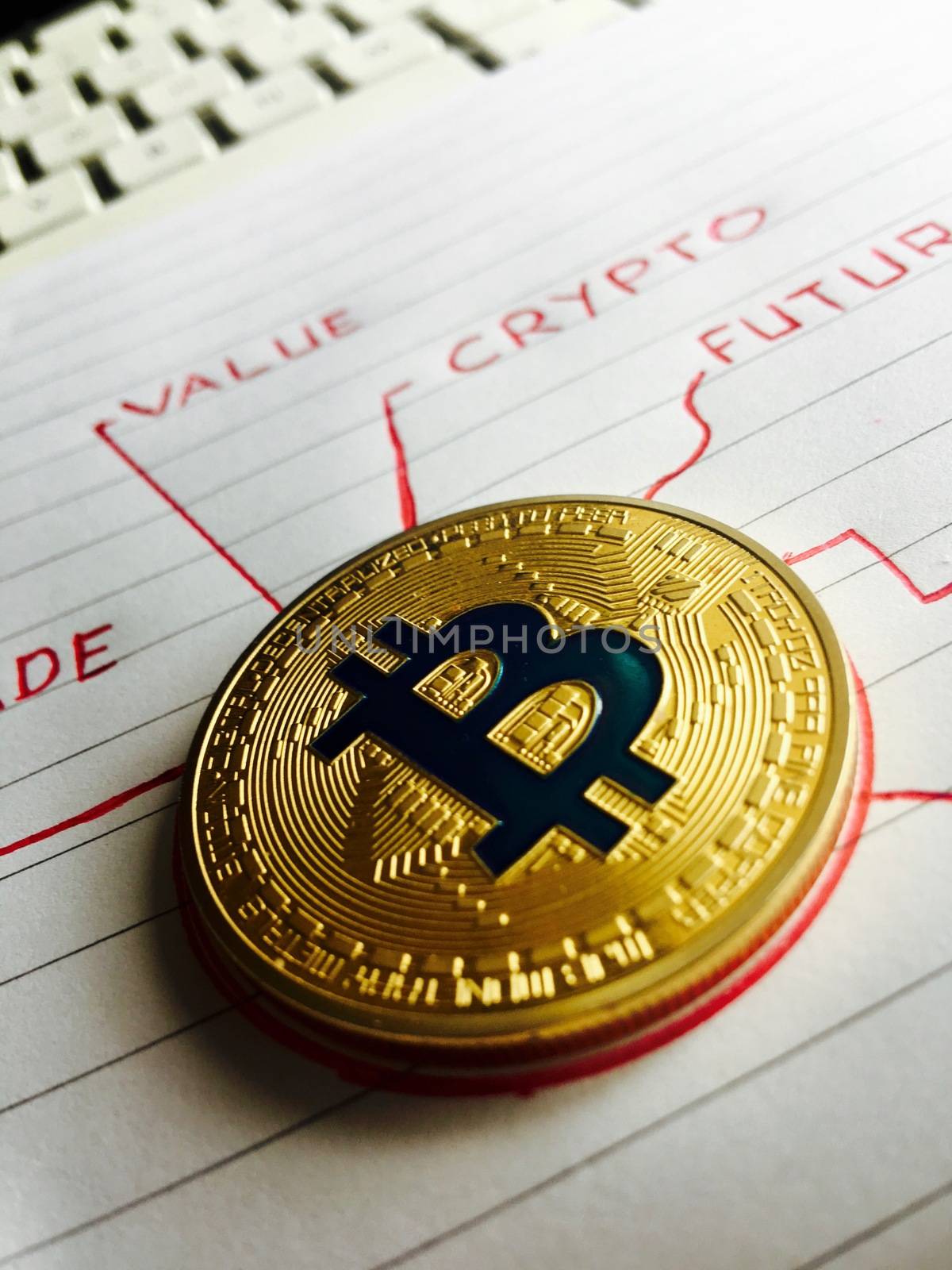 Cryptocurrency physical gold bitcoin coin in notebook. Value Crypto Future.