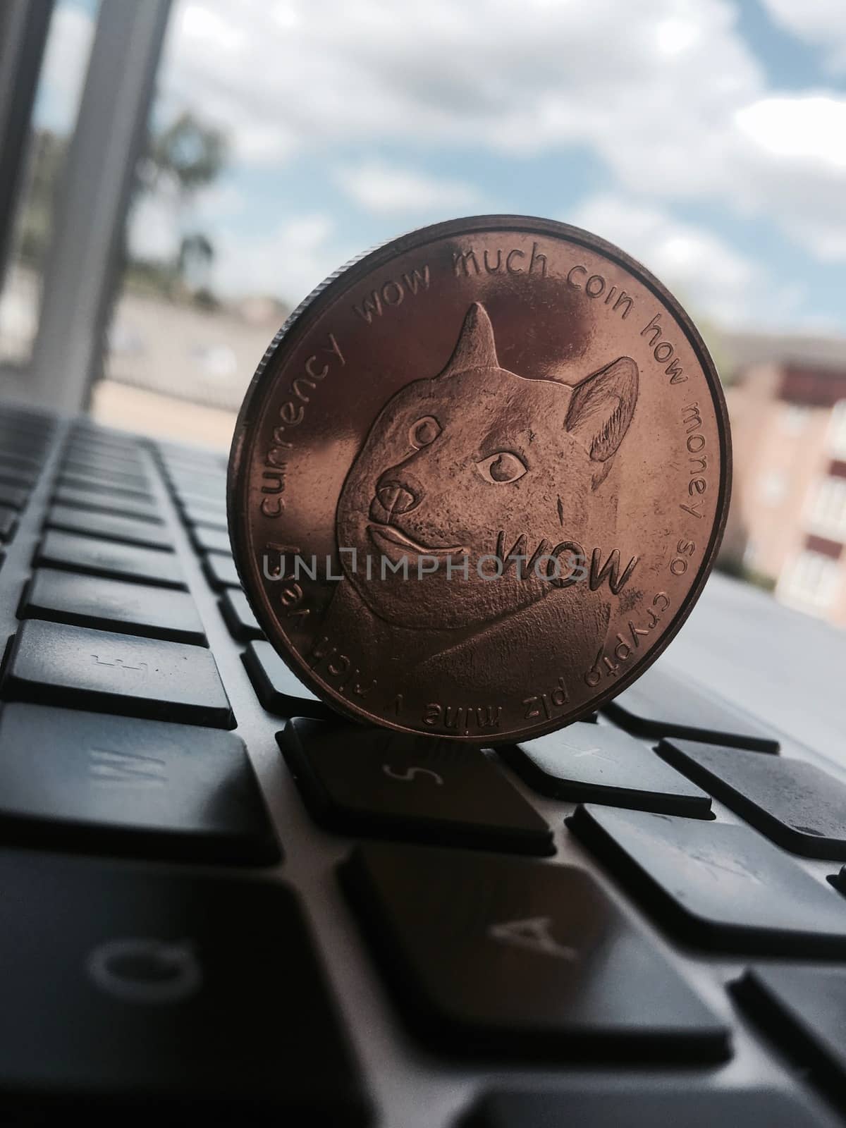 Brass dogecoin coin by adriantoday