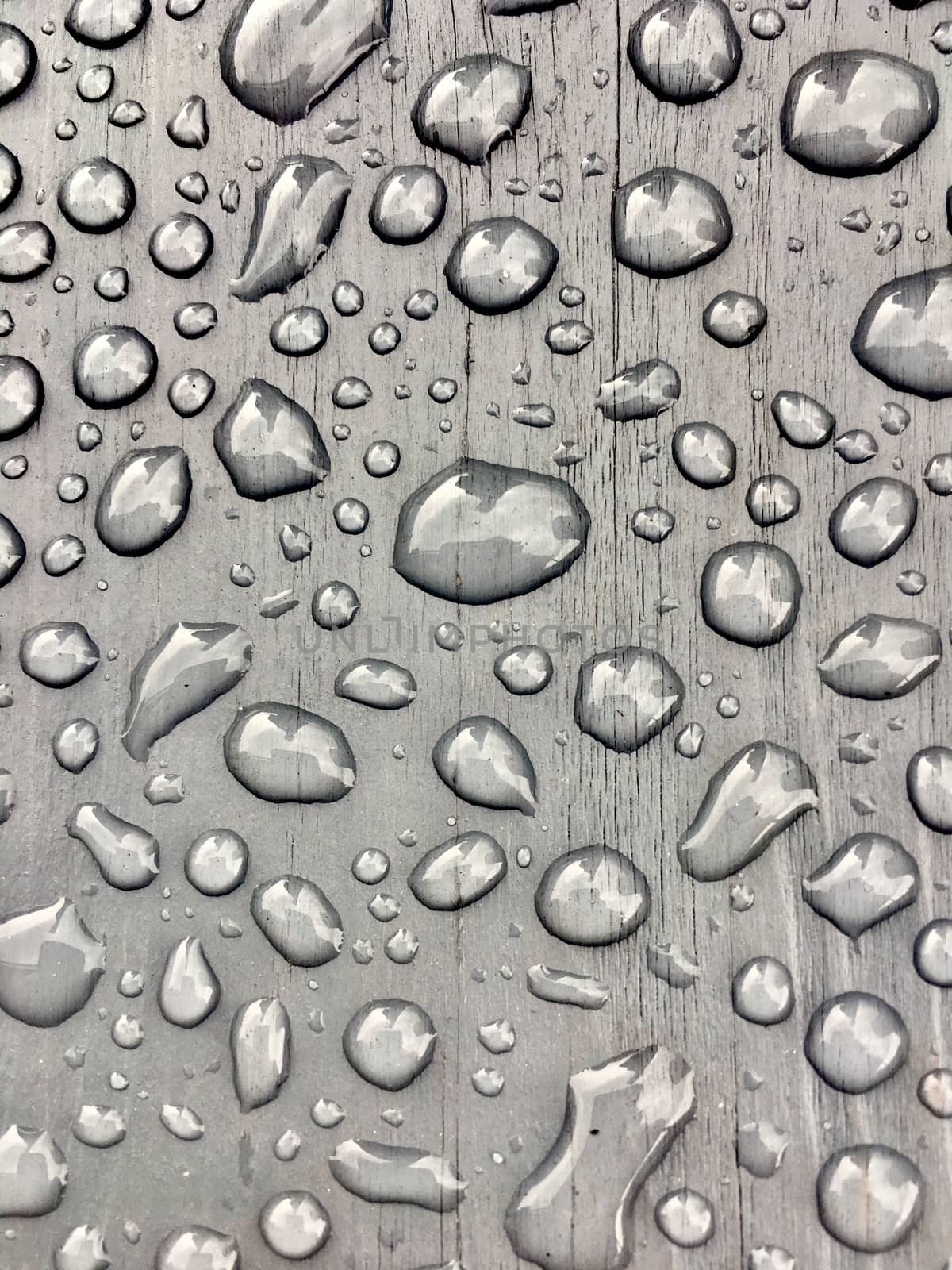 rain drops on on grey wooden bench 