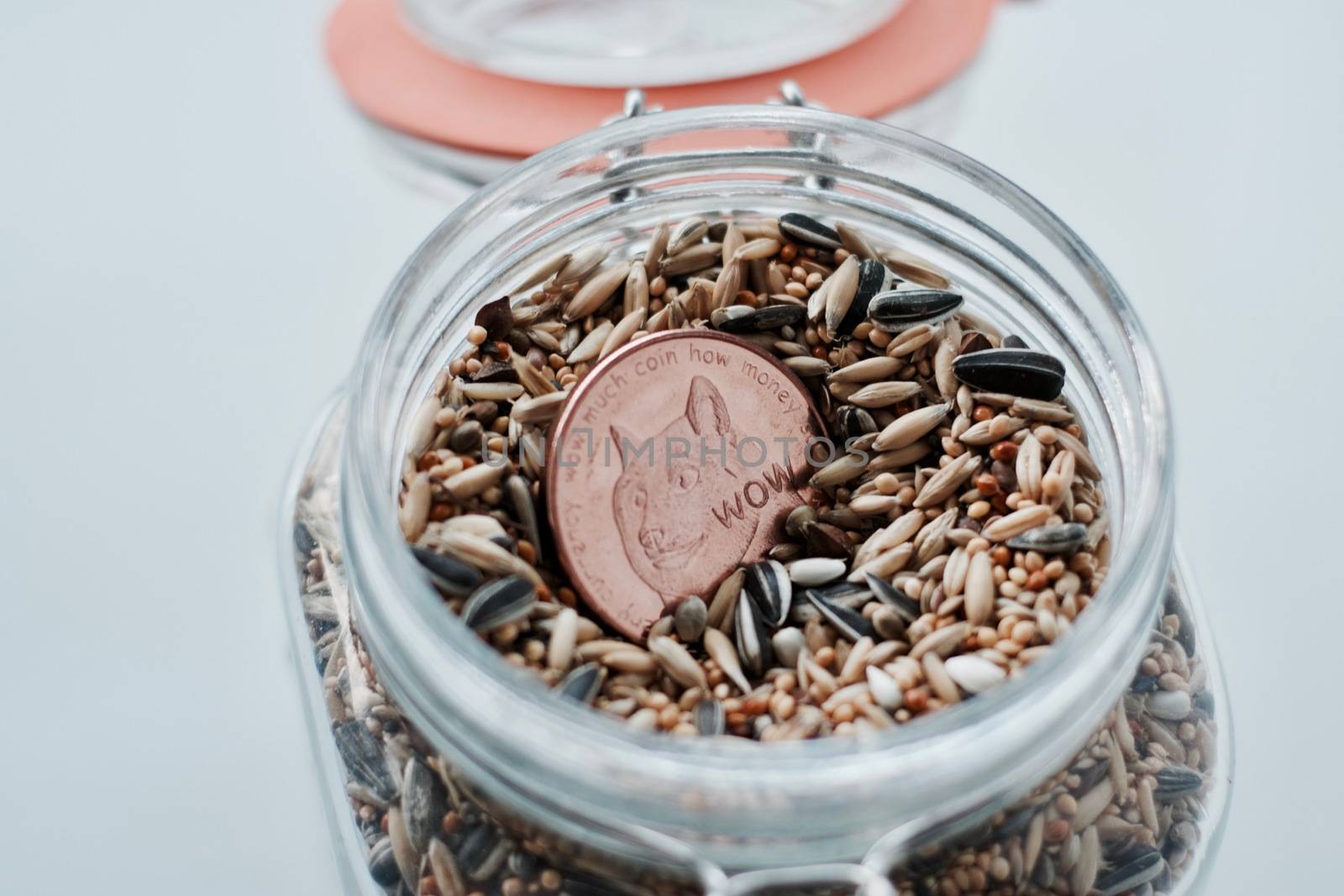 Digital currency physical brass dogecoin coin and seeds in glass jar.