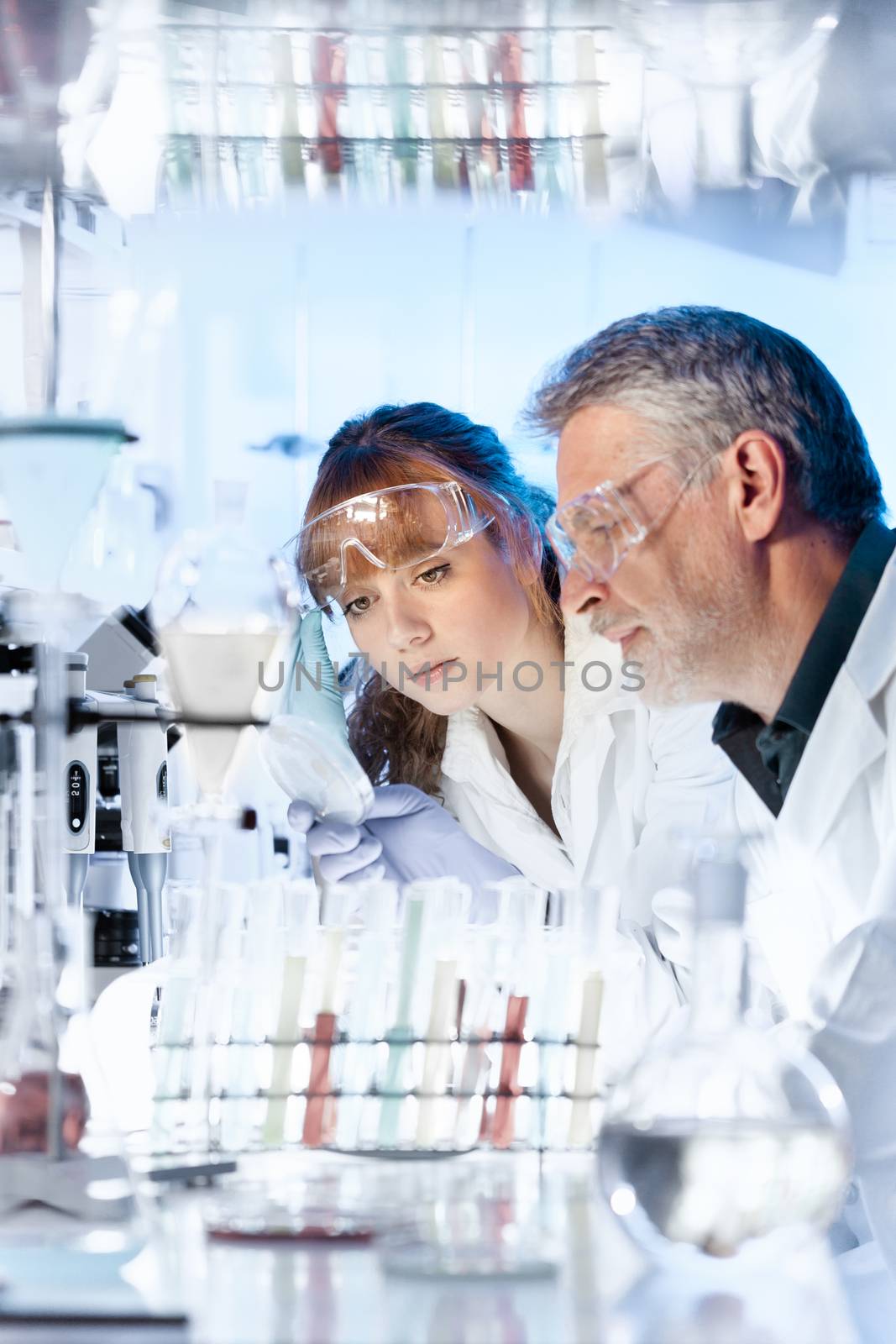 Attractive young female scientist and her senior male supervisor looking at the cell colony grown in the petri dish in the life science research laboratory.