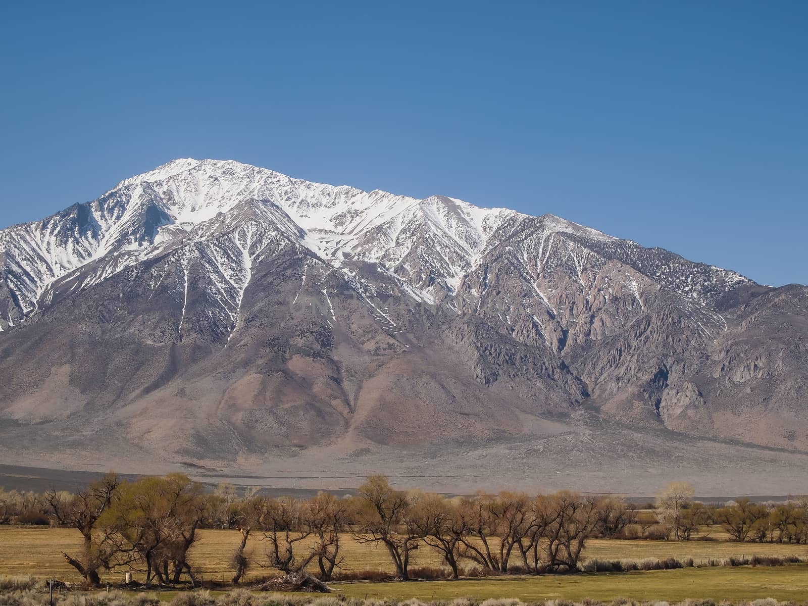 Snow capped mountains, blue sky, Desert landscape in California , USA