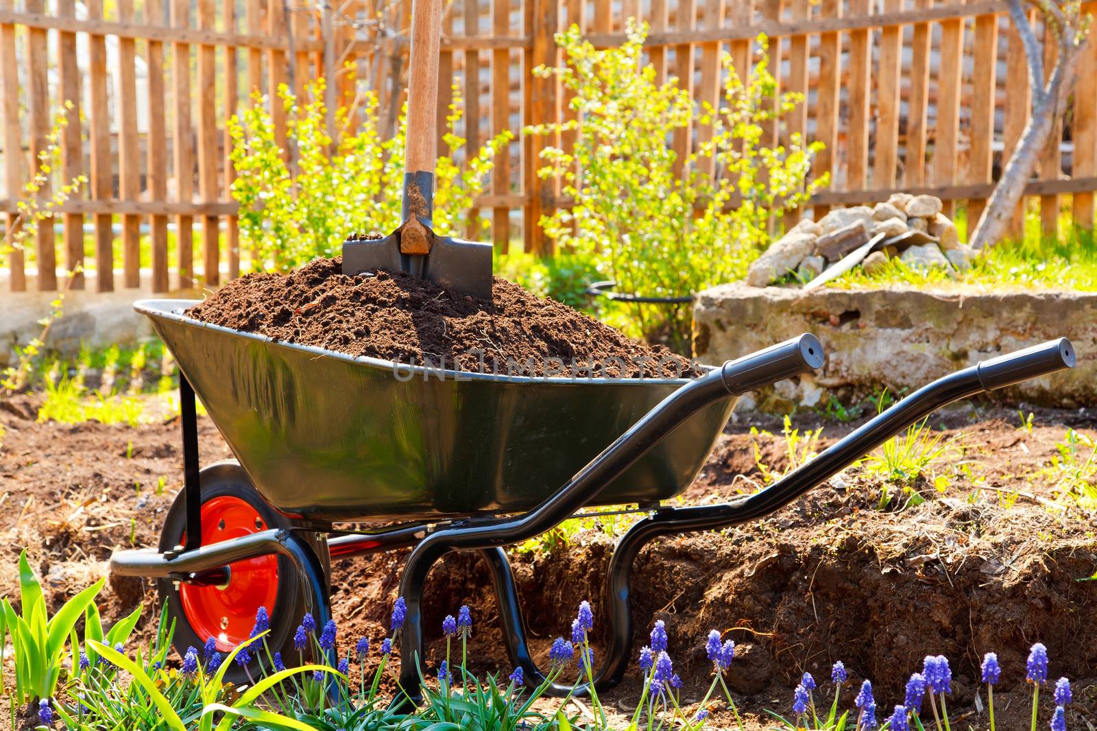 Wheelbarrow full of soil in a garden by Nobilior