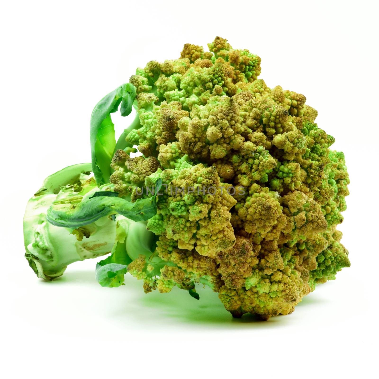 Fresh Romanesco Broccoli  by zhekos