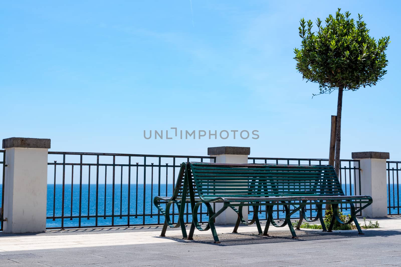 Bench and little tree at the sicilian sea, Italy.