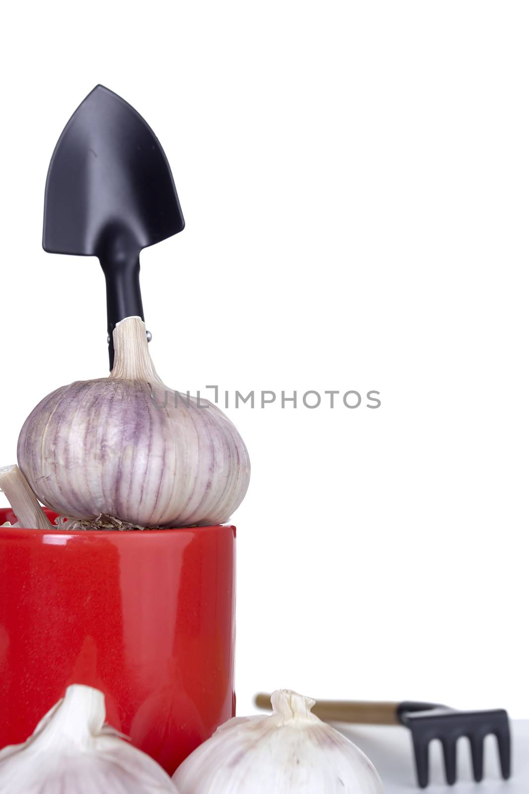 Set of garden tools in a glass pen on the desktop