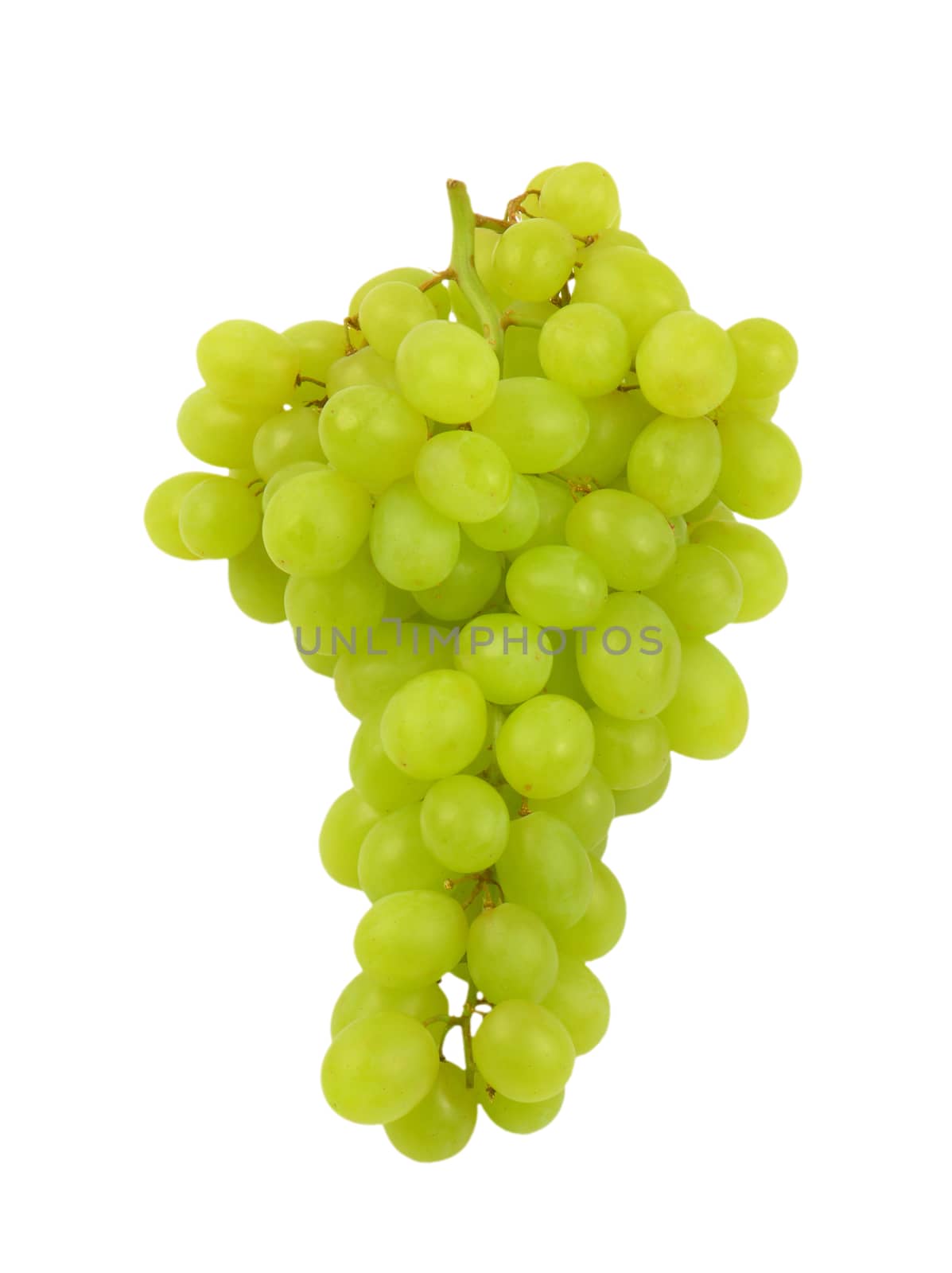 bunch of white grapes by Digifoodstock
