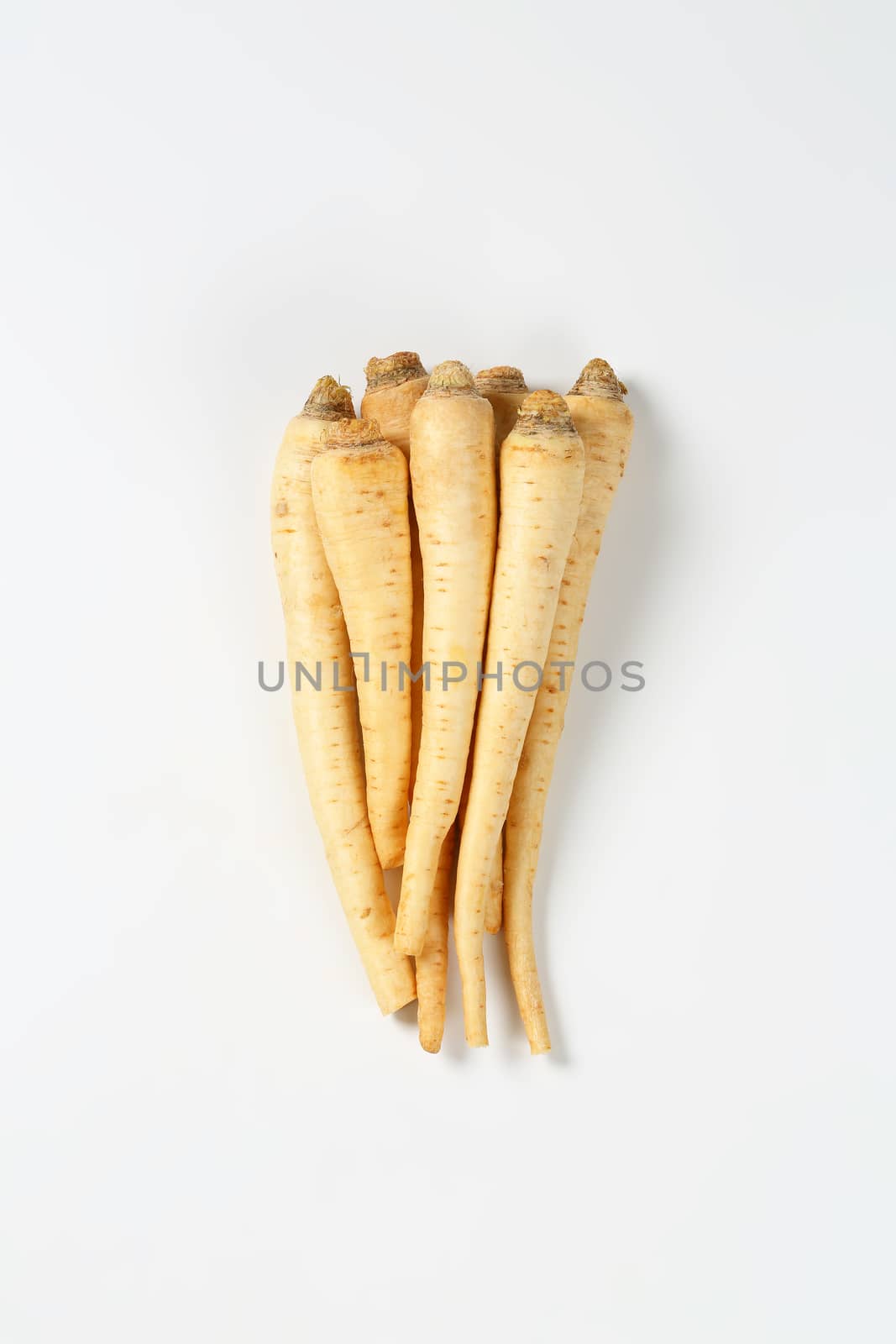 bunch of fresh parsley roots on white background