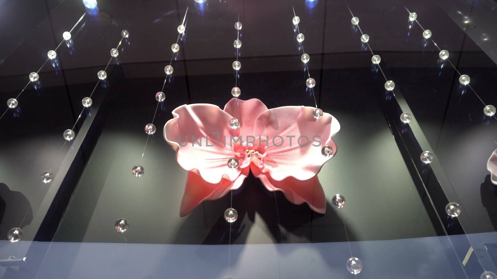 reflection of buildings in a shop window with a beautiful decorative flower by nolimit046