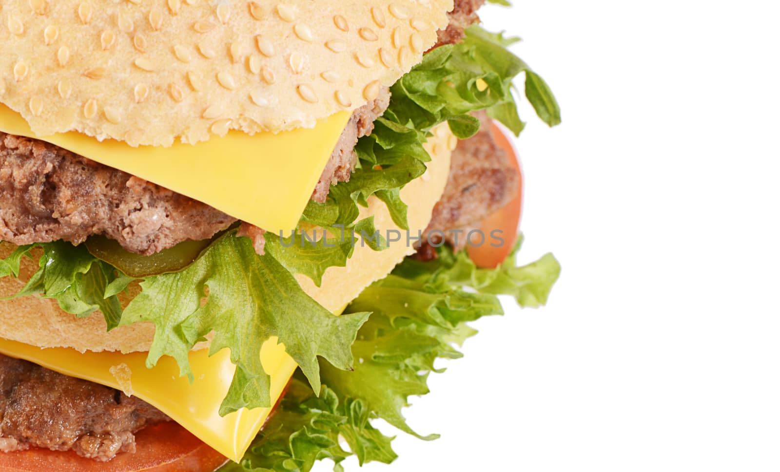 Hamburger with cutlet and cheese on white background by SvetaVo