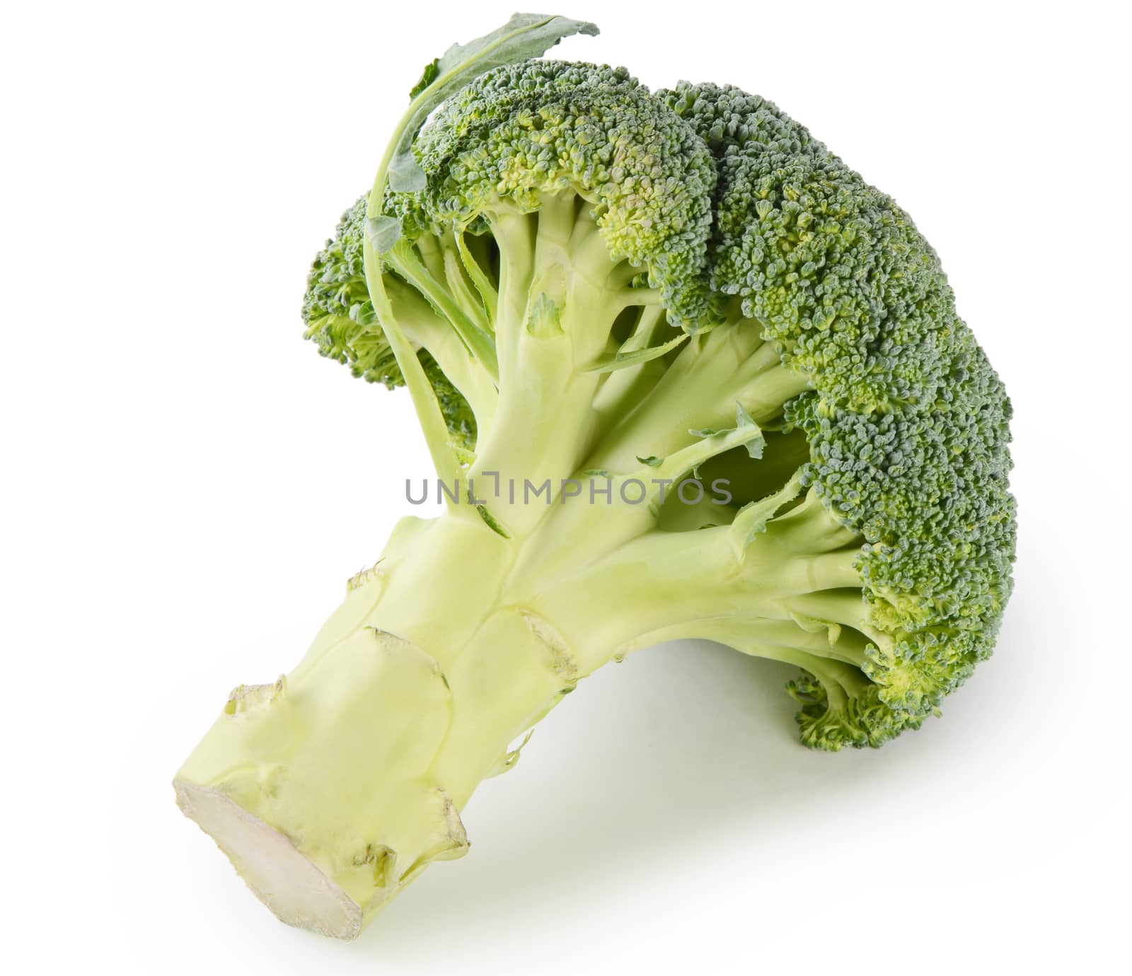 Fresh broccoli isolated on a white background