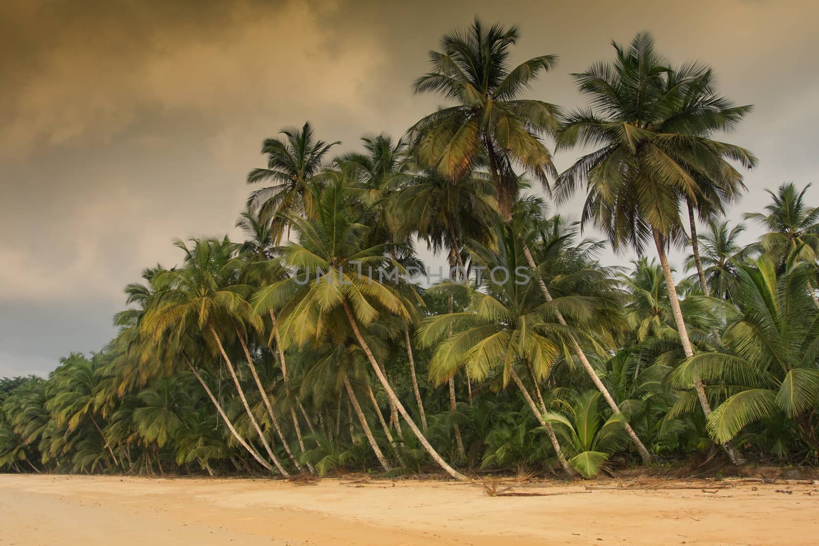 Praia Coco on an overcast day, Principe Island, Sao Tome and Principe, Africa