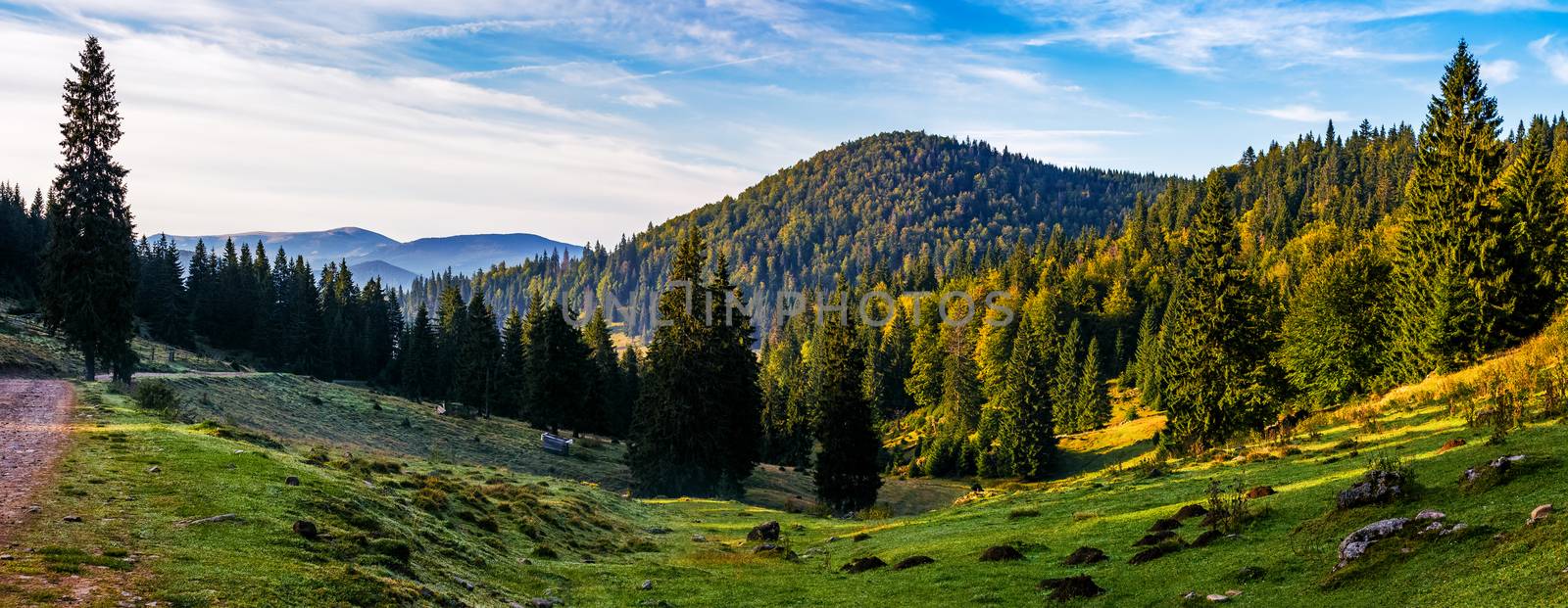 valley with forest in mountains of Romania. beautiful autumn sunrise