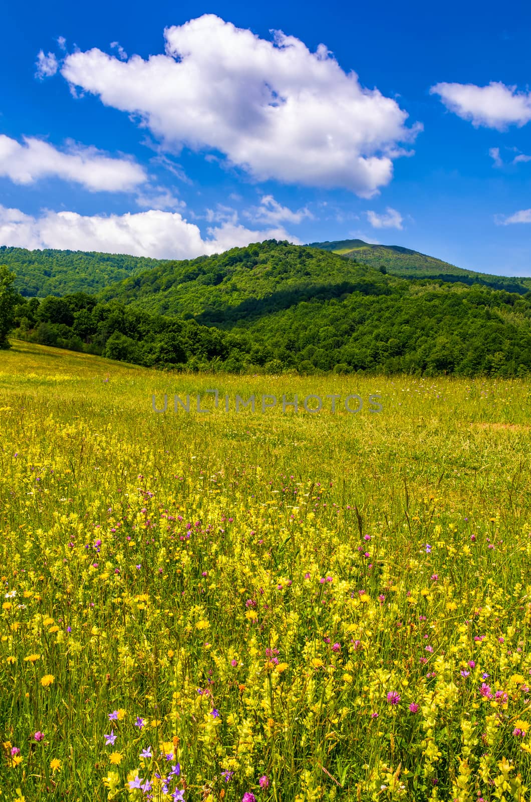 countryside summer landscape in mountains by Pellinni