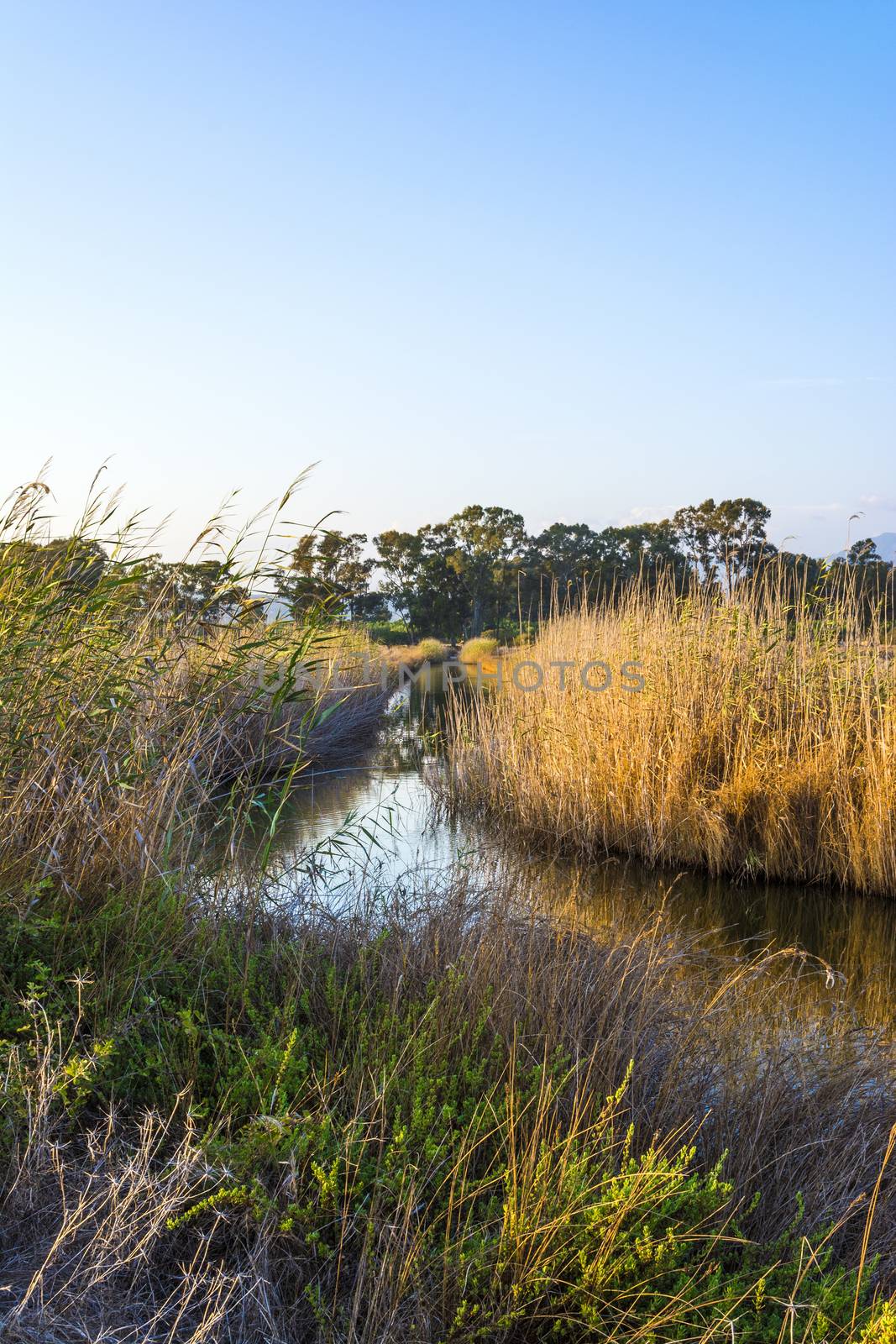 Gialova lagoon, Messinia, Greece by ankarb