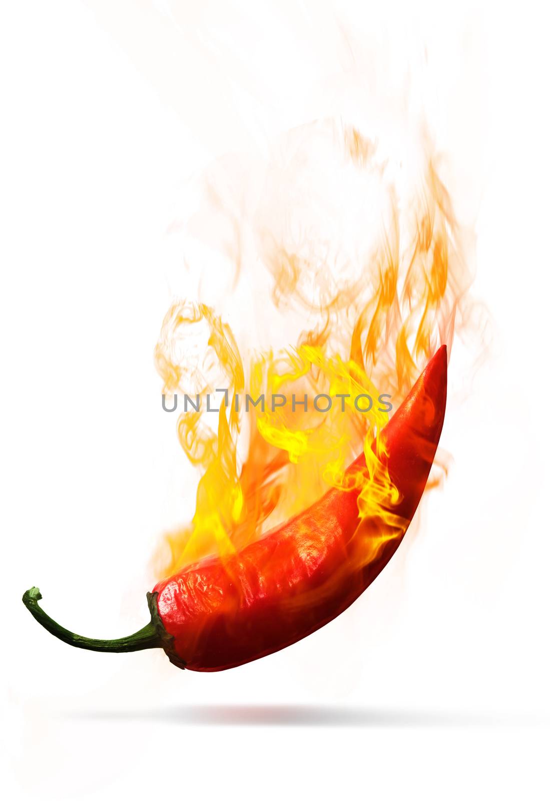 fiery red pepper on a white background