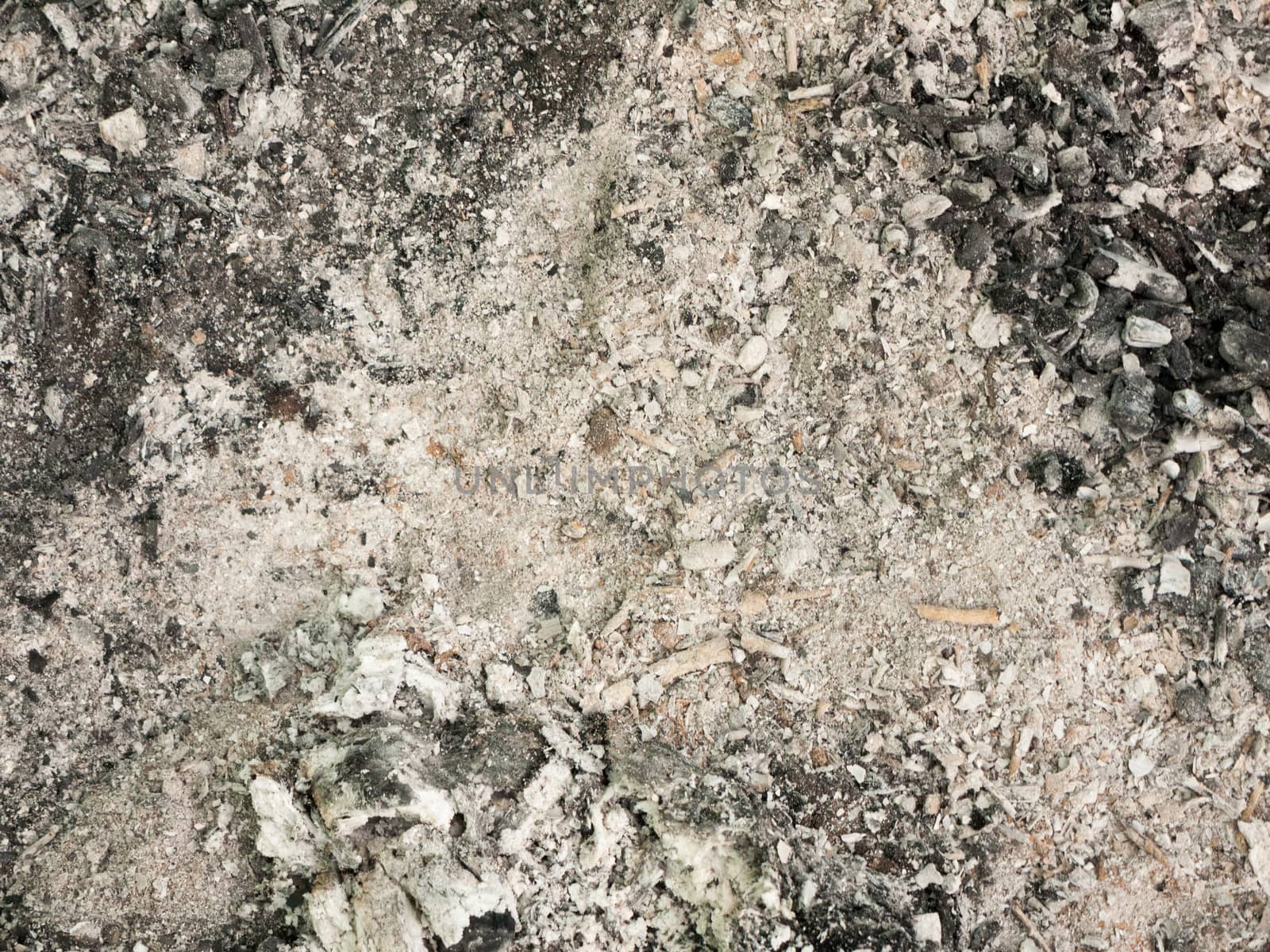 ash from a campfire outside on the ground