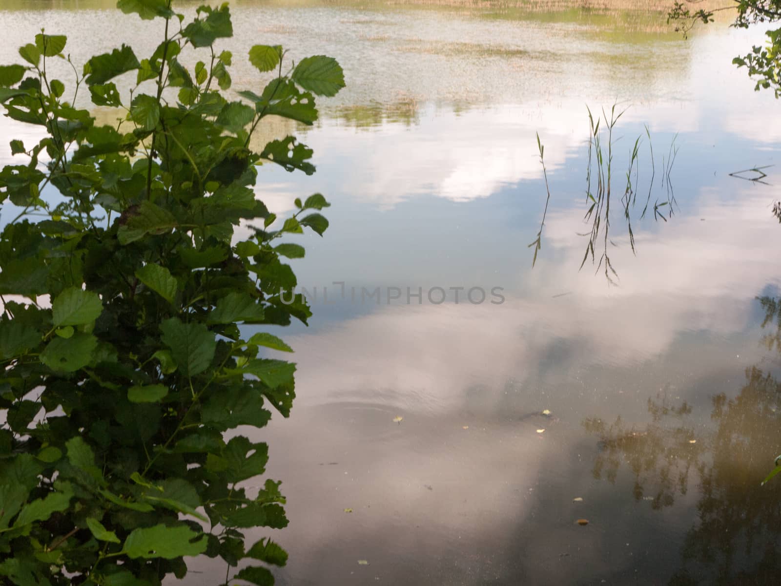 clouds in the water blue and white