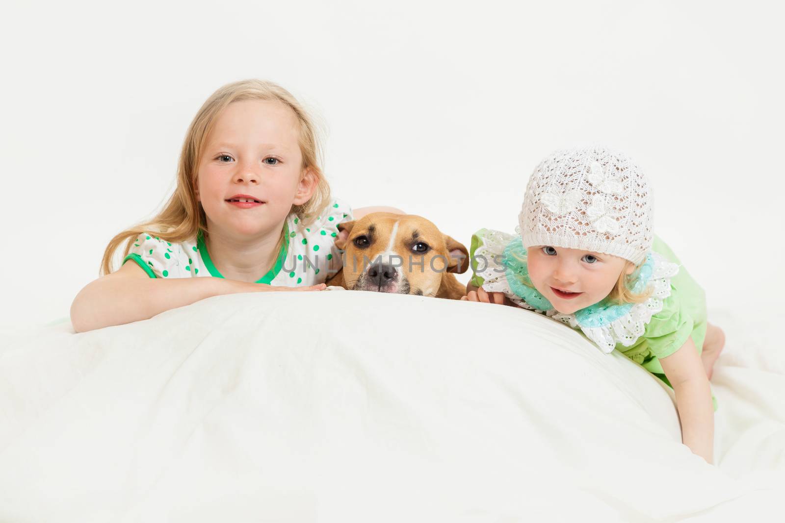 two little girls and dog on the isolated background