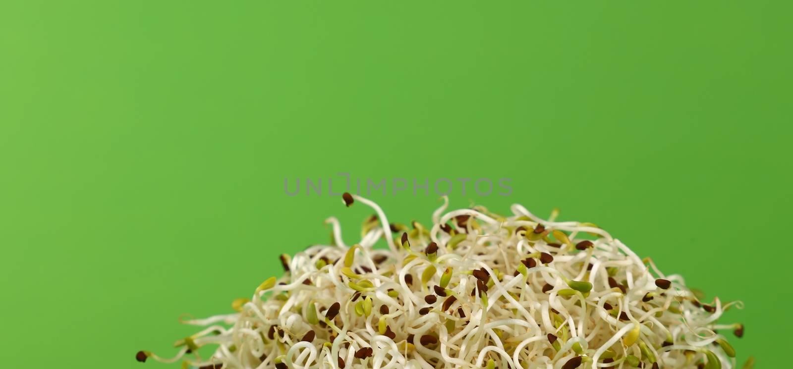 Heap of microgreen leaves, young vegetable sprouts, over green background, close up, low angle view
