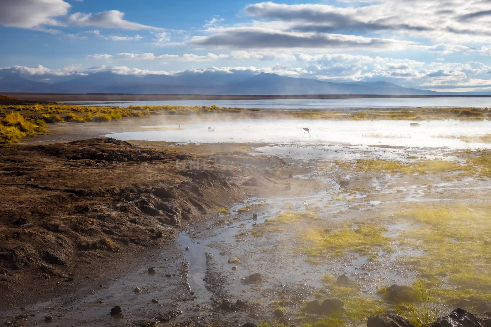 Lake in sol de manana geothermal field, sud Lipez reserva, Boliv by daboost