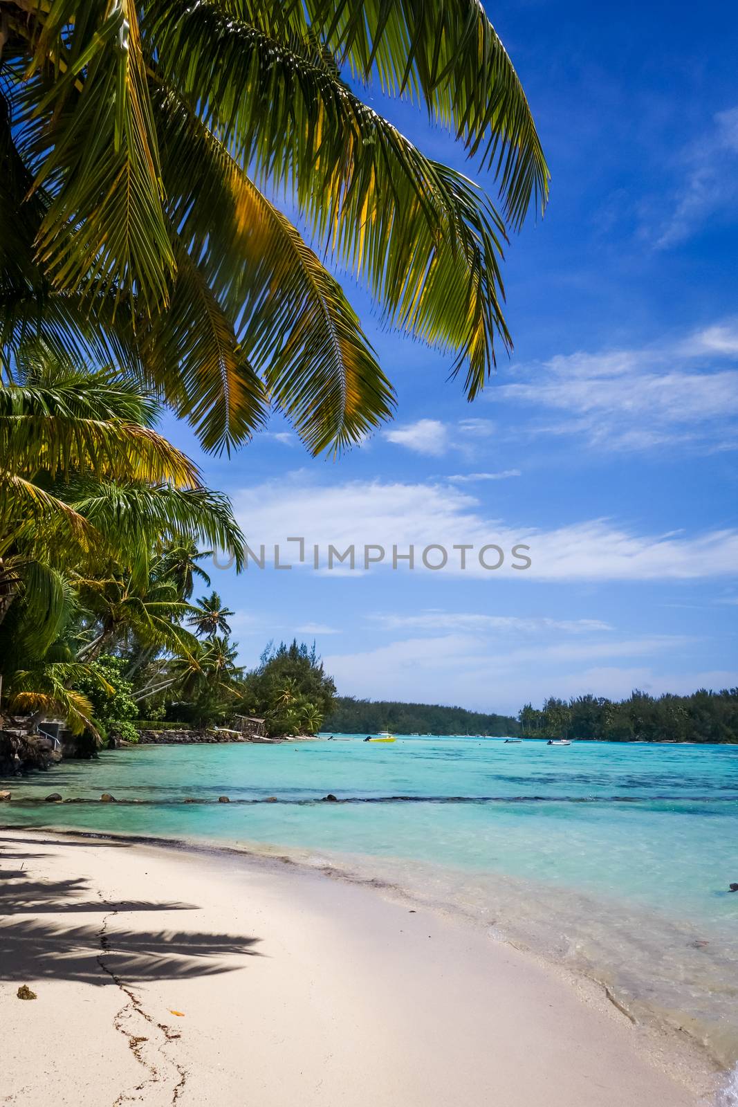 Paradise tropical beach and lagoon in Moorea Island by daboost
