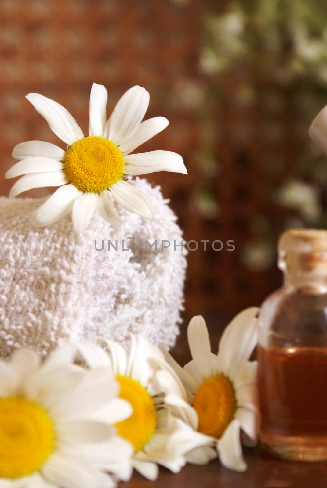 Lovely themed image of effective spa treatments using Chamomile.