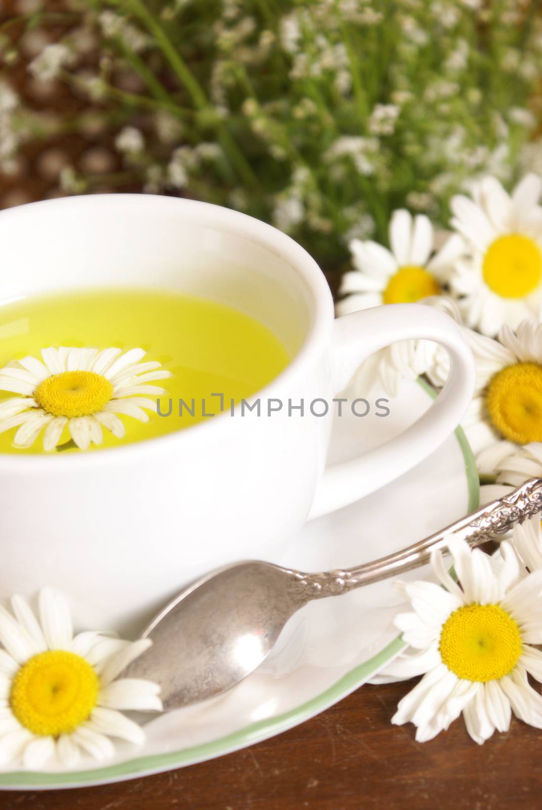 A lovely fresh cup of Chamomile tea with a silver spoon.