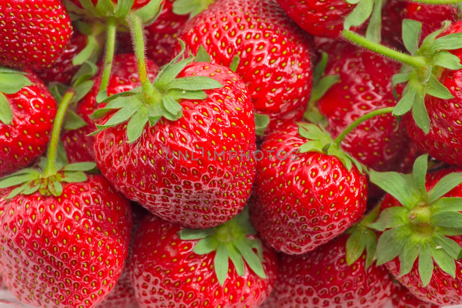 Background of the fresh ripe garden strawberries closeup
