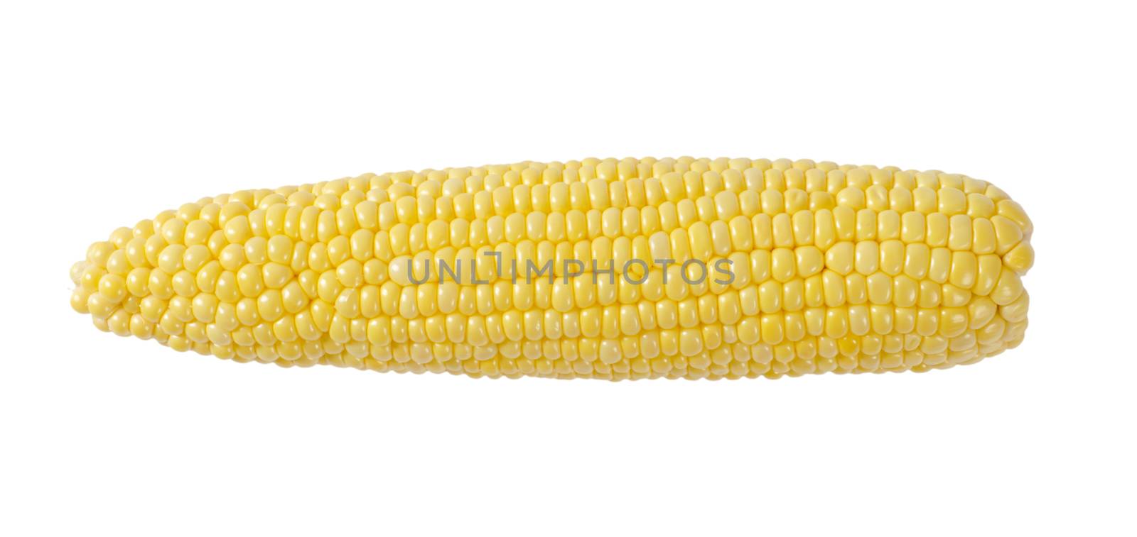 ripe corn cob by Digifoodstock