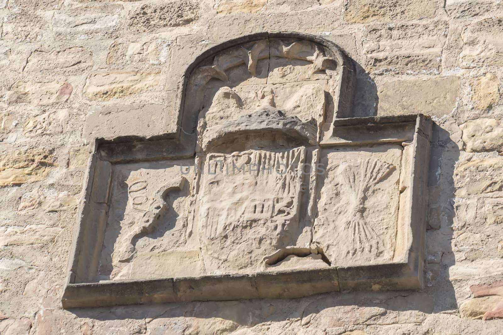 Shield on the facade of the Albarrana tower, Baeza, Jaen, Spain by max8xam