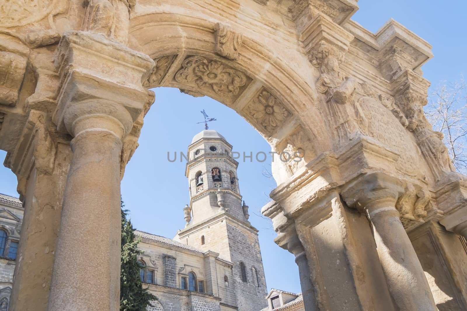 Cathedral of the Assumption of the Virgin, Santa Maria fountain, Baeza, Jaen, Spain