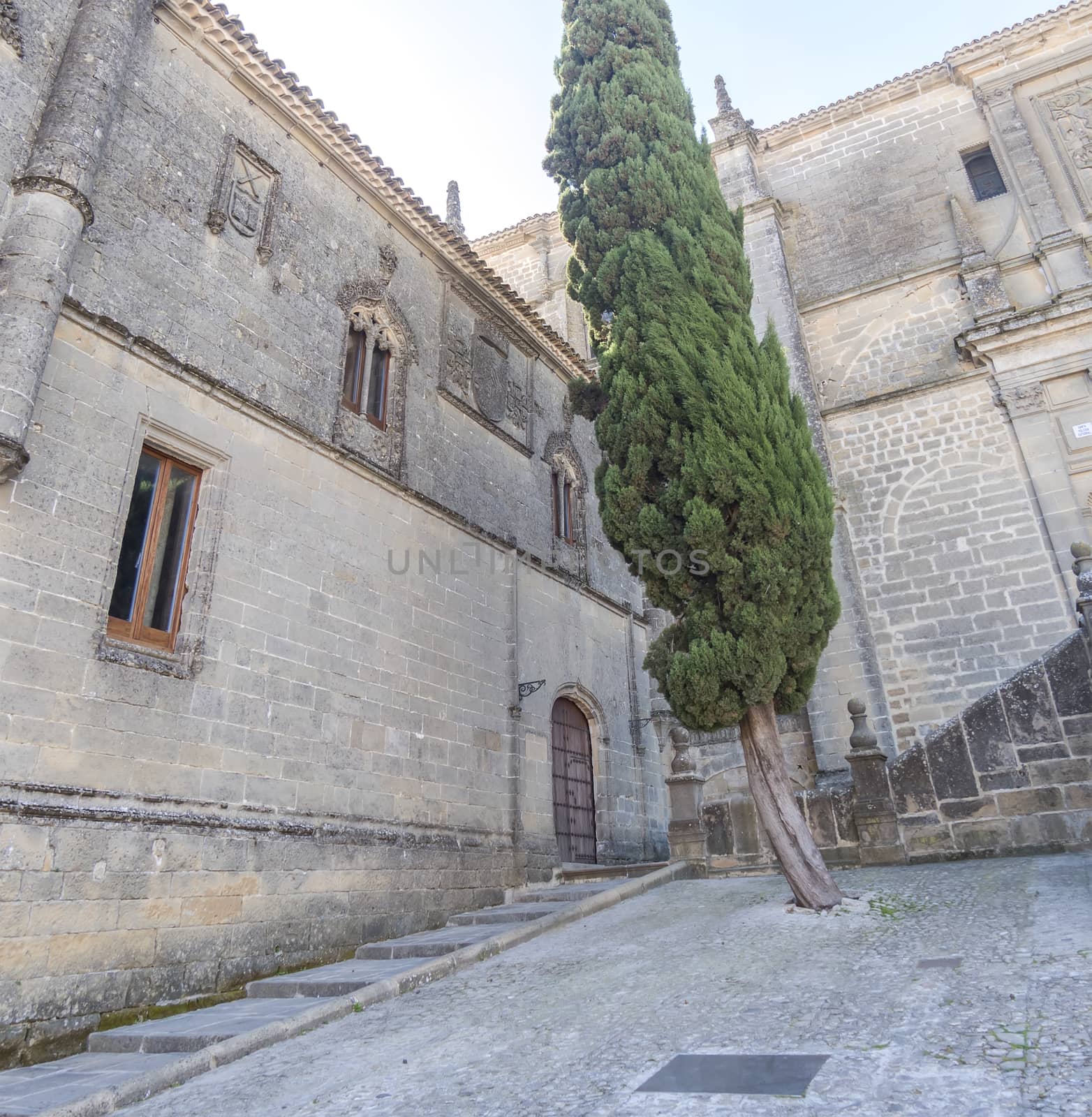 Casas consistoriales altas, Baeza, Jaen, Spain