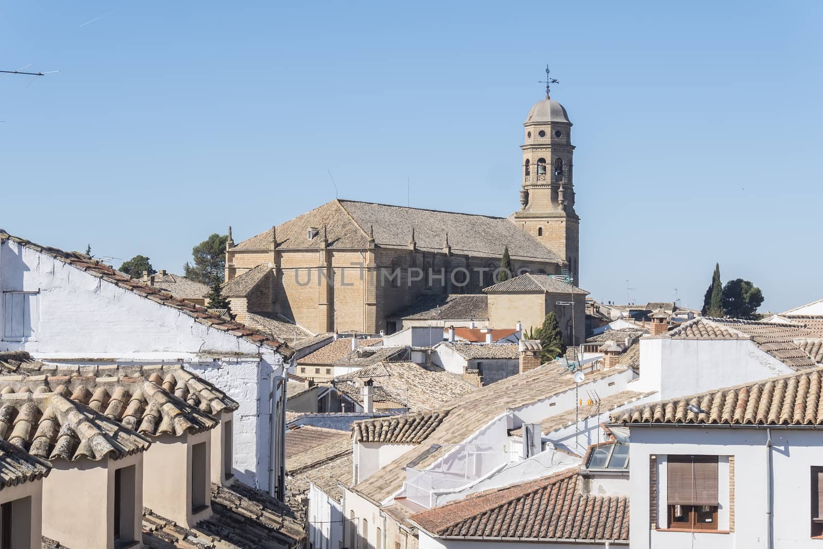 Baeza Cathedral (Cathedral of the Assumption of the Virgin), Baeza city (World Heritage Site),  Jaen, Spain
